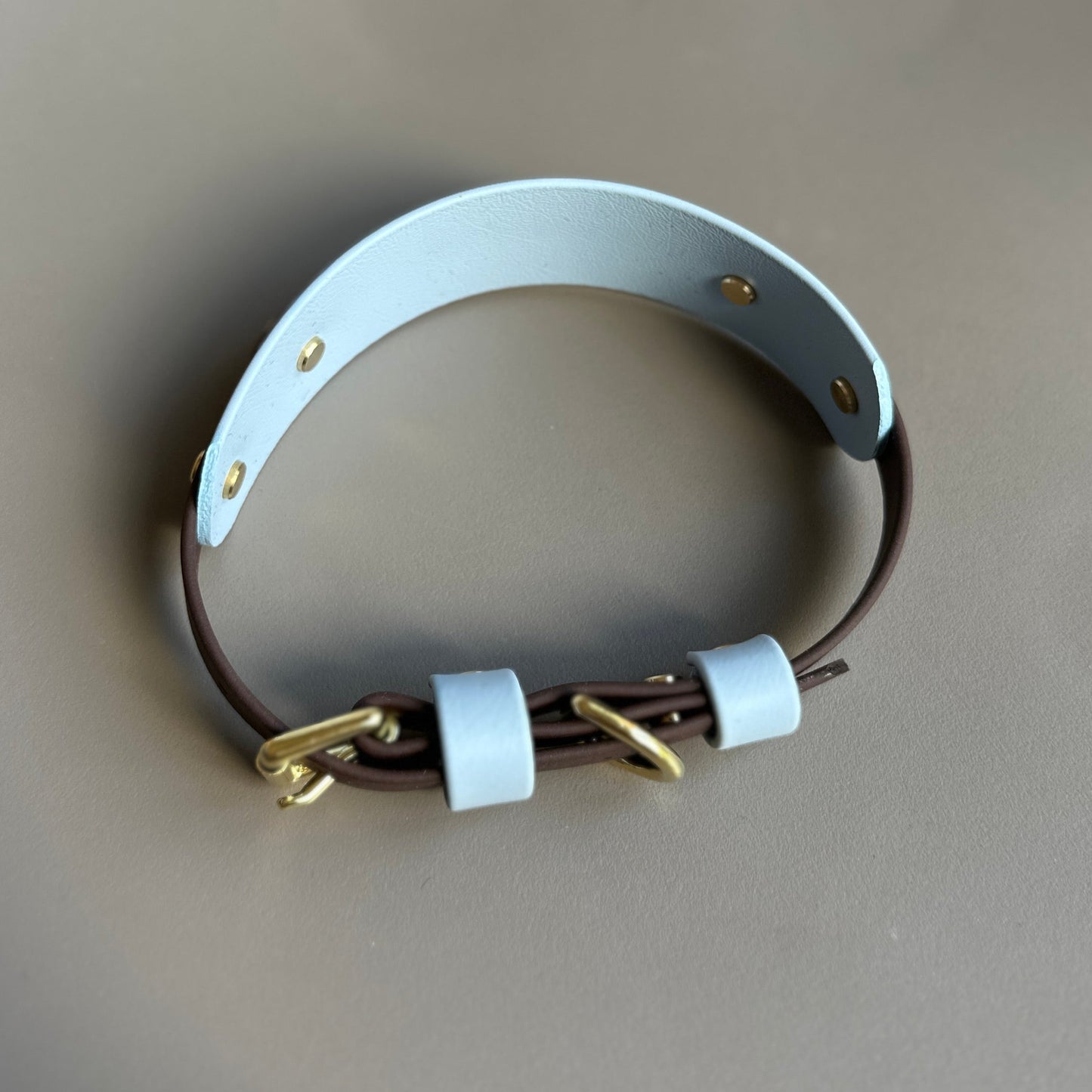 Axel BioThane® Hound Style Collar