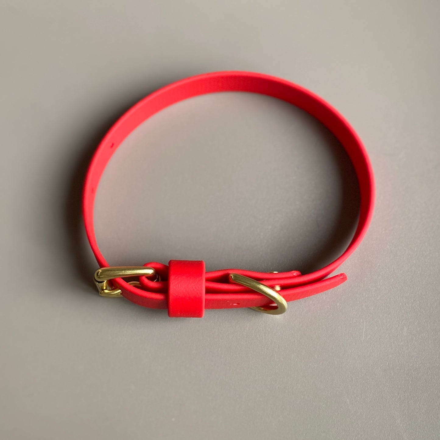 Red BioThane® Collar