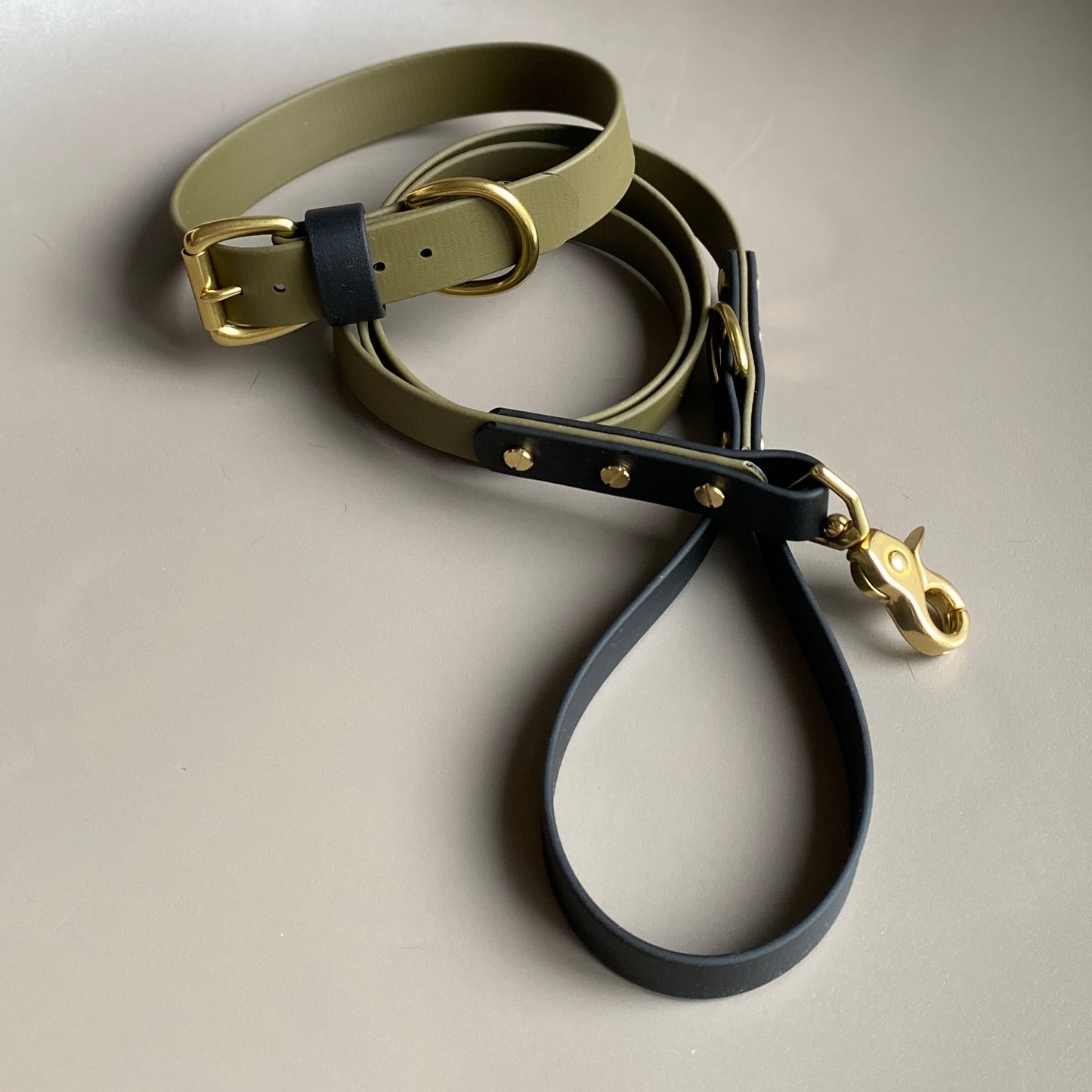 Ray Colourblock BioThane® Collar