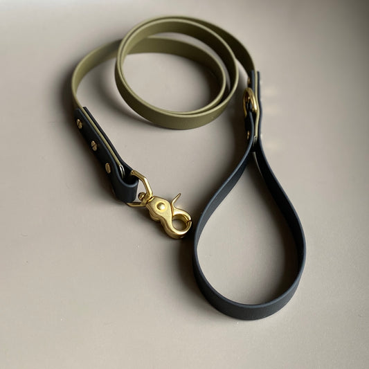 Ray Colourblock BioThane® Lead