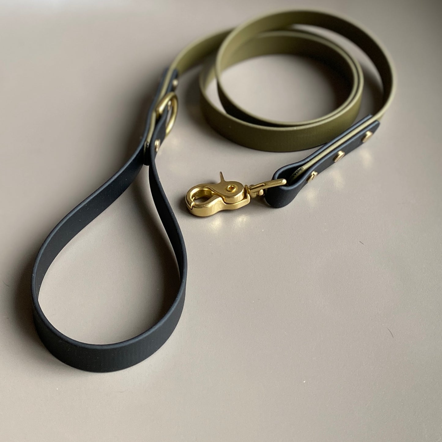 Ray Colourblock BioThane® Lead