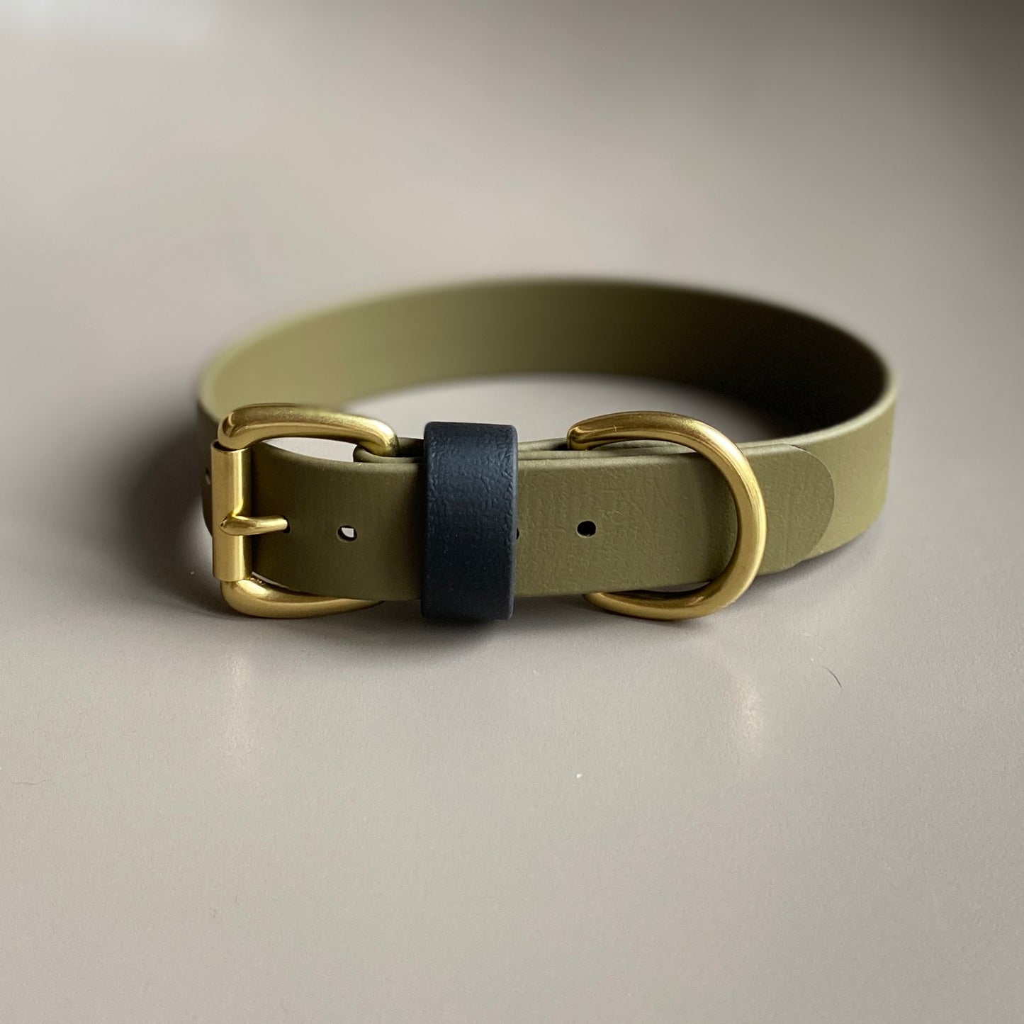Ray Colourblock BioThane® Collar