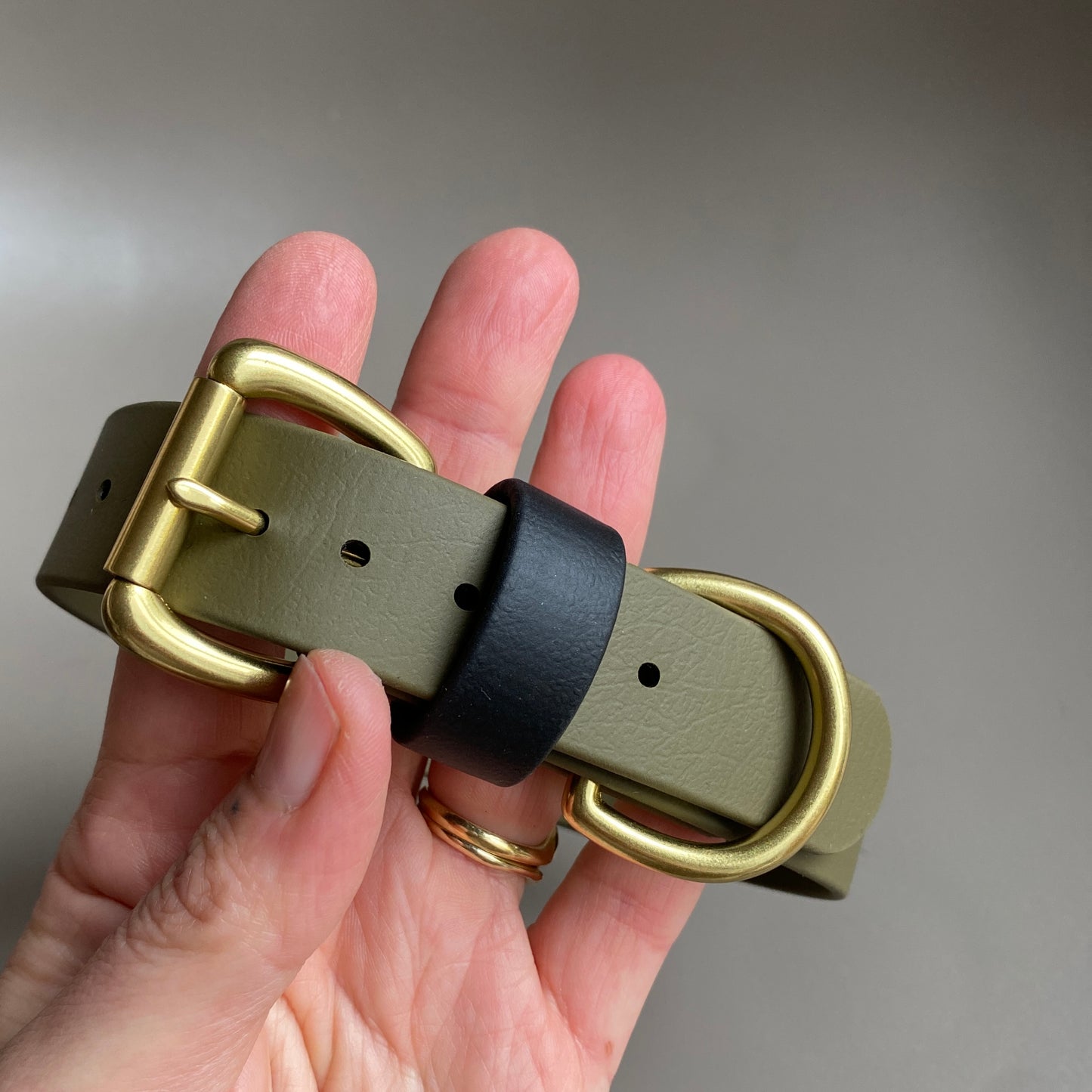 Ray Colourblock BioThane® Collar