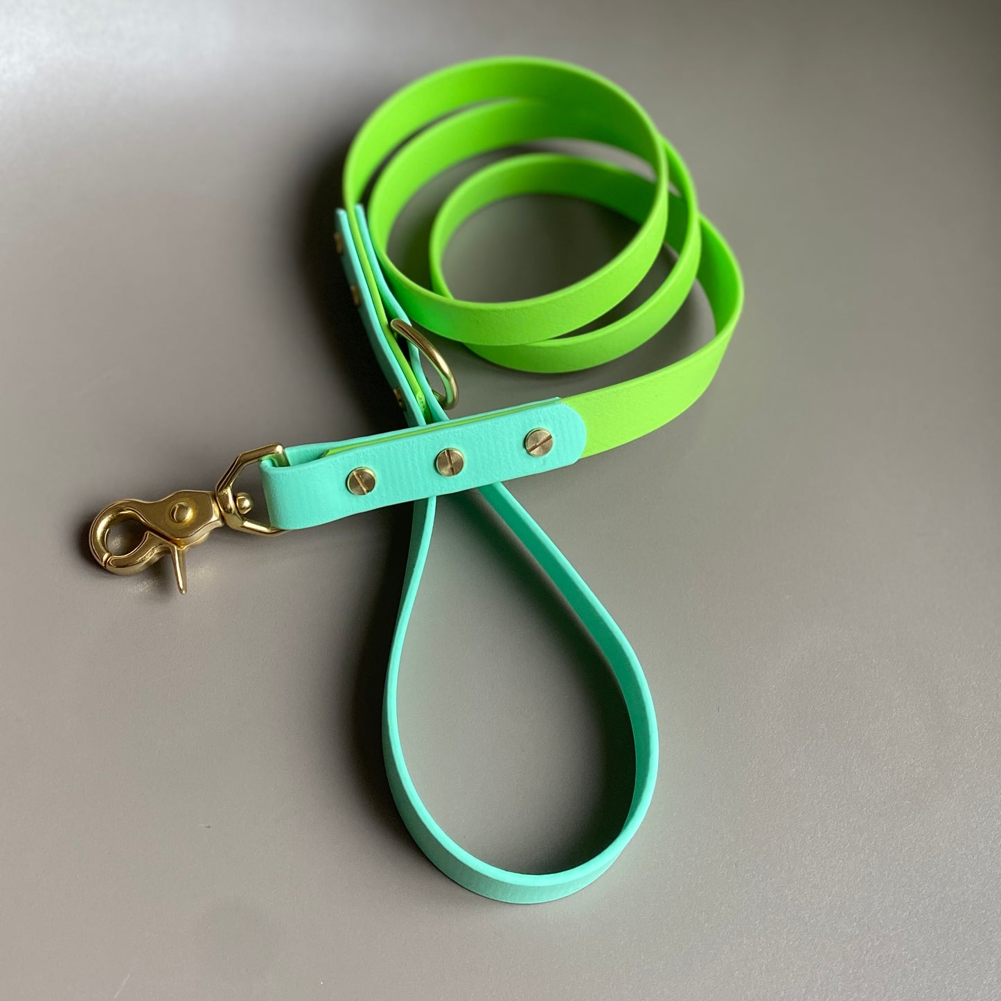 Cooper Colourblock BioThane® Lead