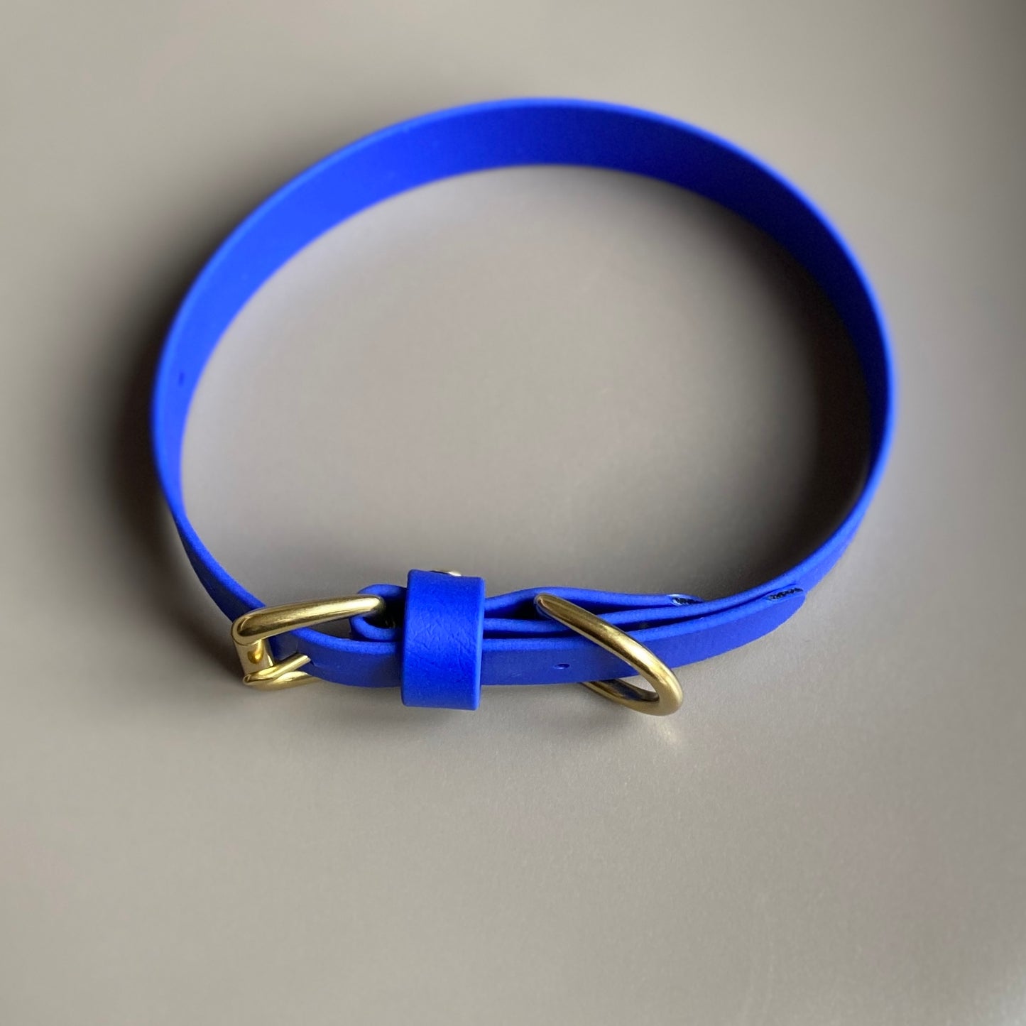 Primary Blue BioThane® Collar