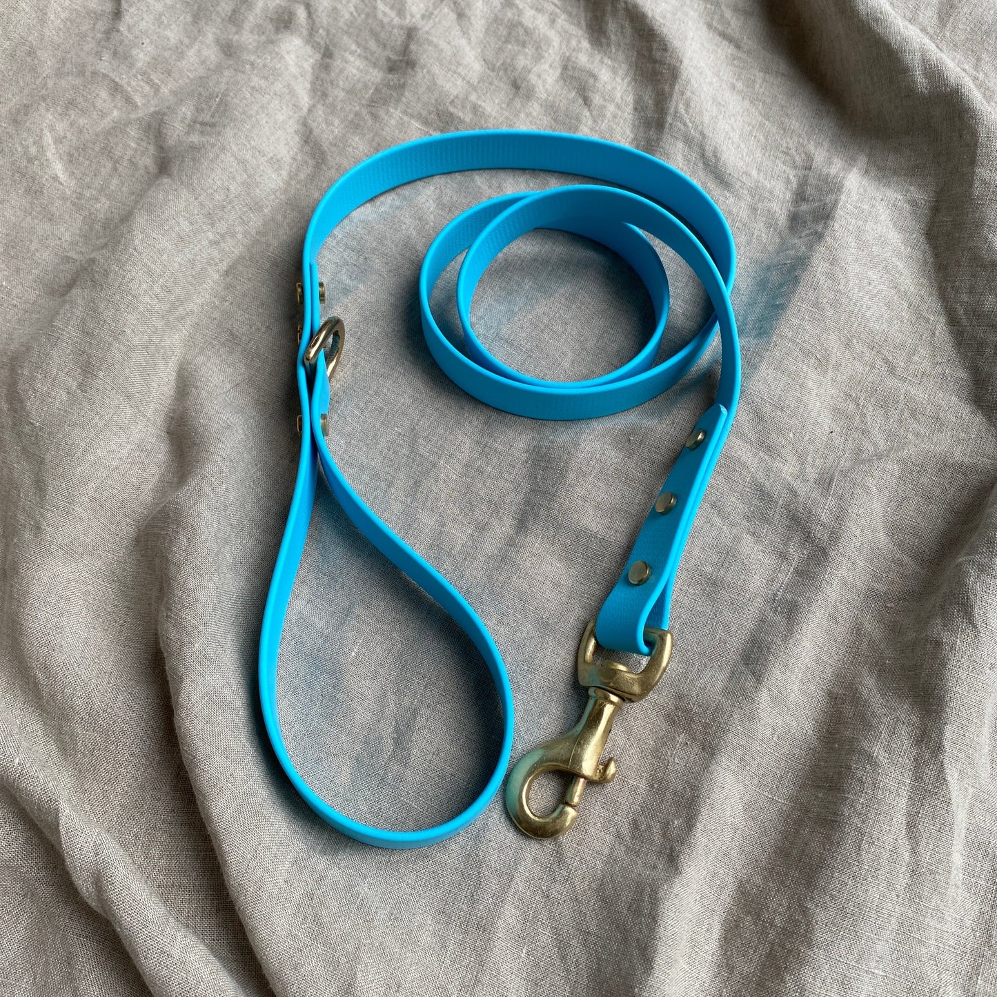 Sky Blue BioThane® Lead