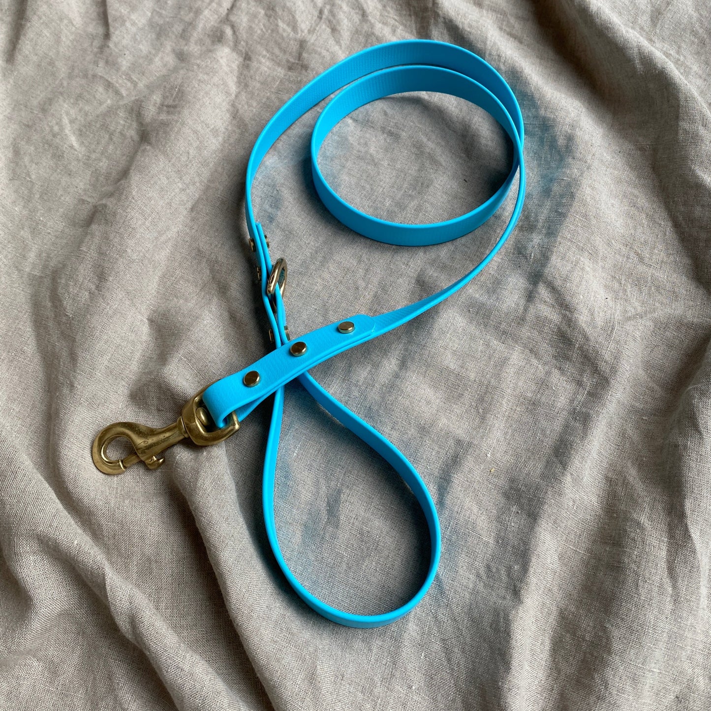 Sky Blue BioThane® Lead