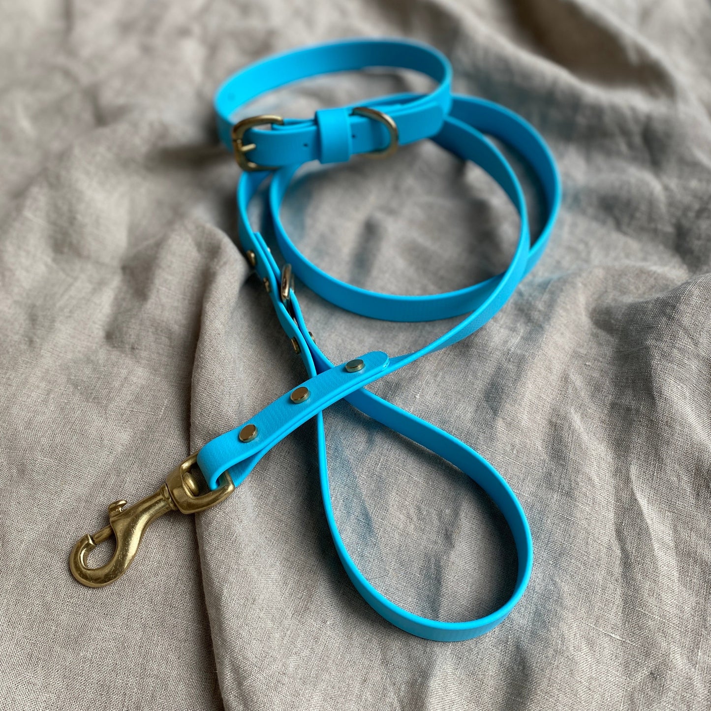 Sky Blue BioThane® Lead