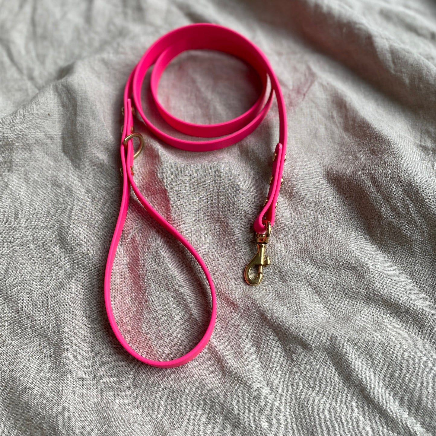 Neon Pink BioThane® Lead