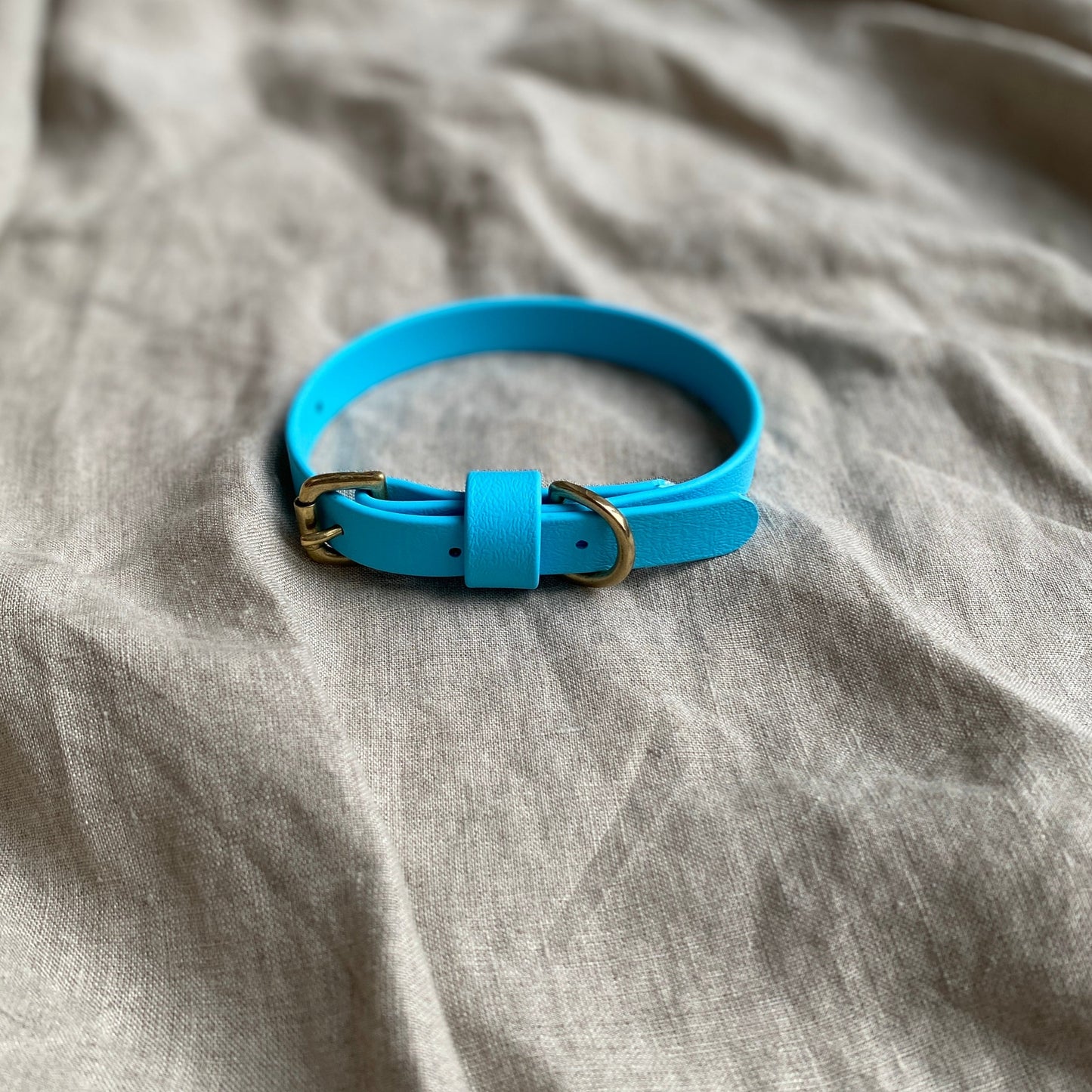 Sky Blue BioThane® Collar