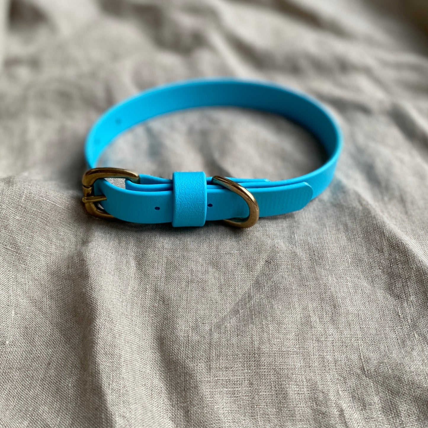 Sky Blue BioThane® Collar