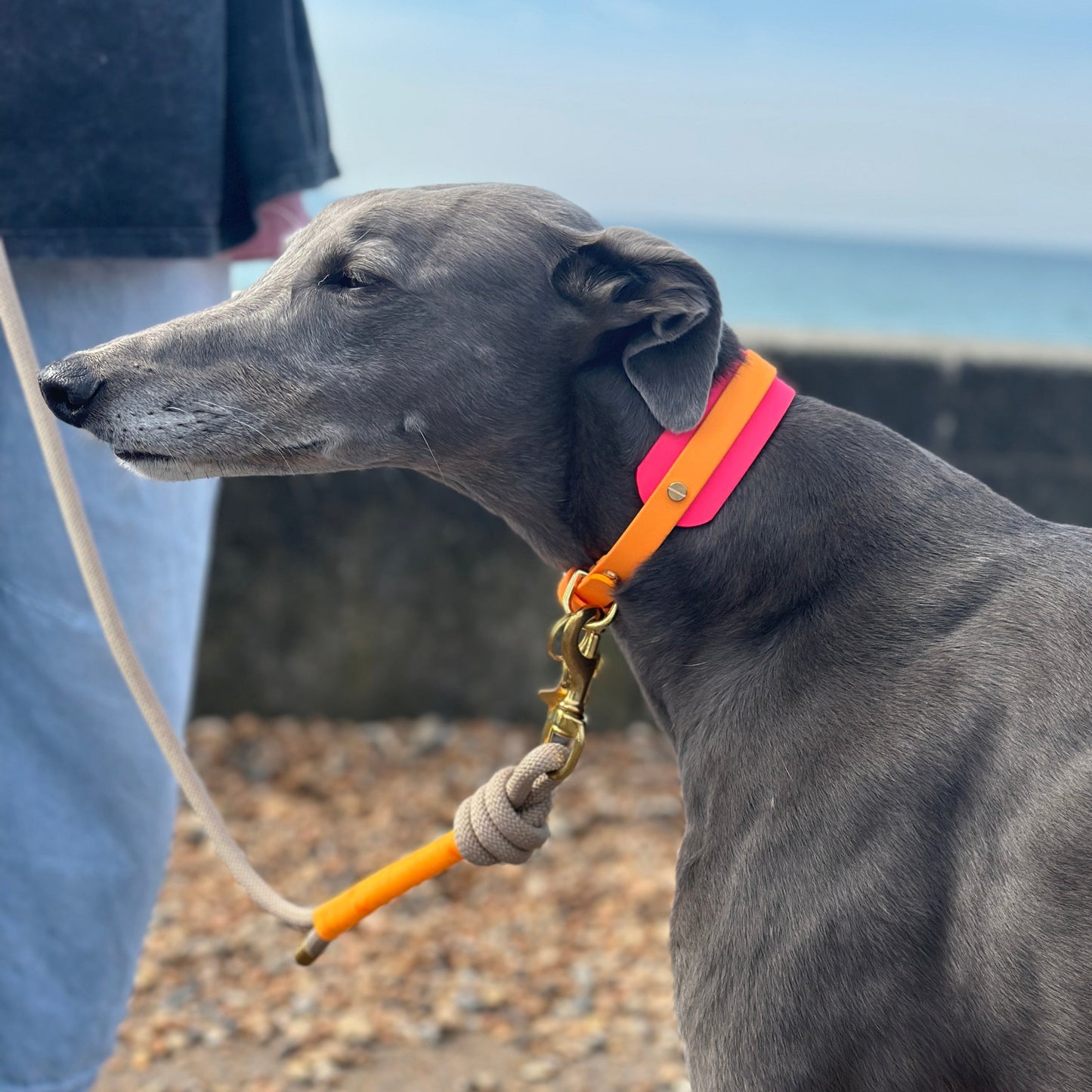 Macy BioThane® Hound Style Collar