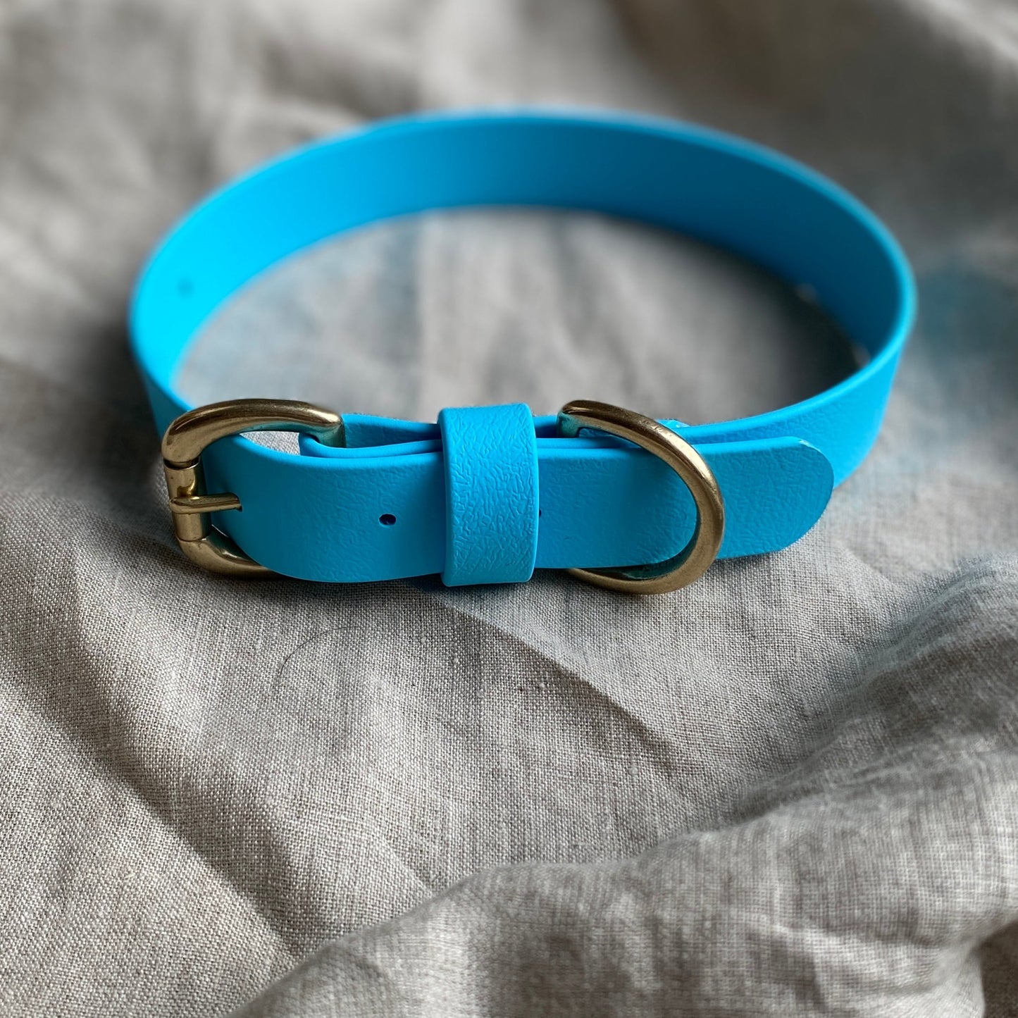 Sky Blue BioThane® Collar