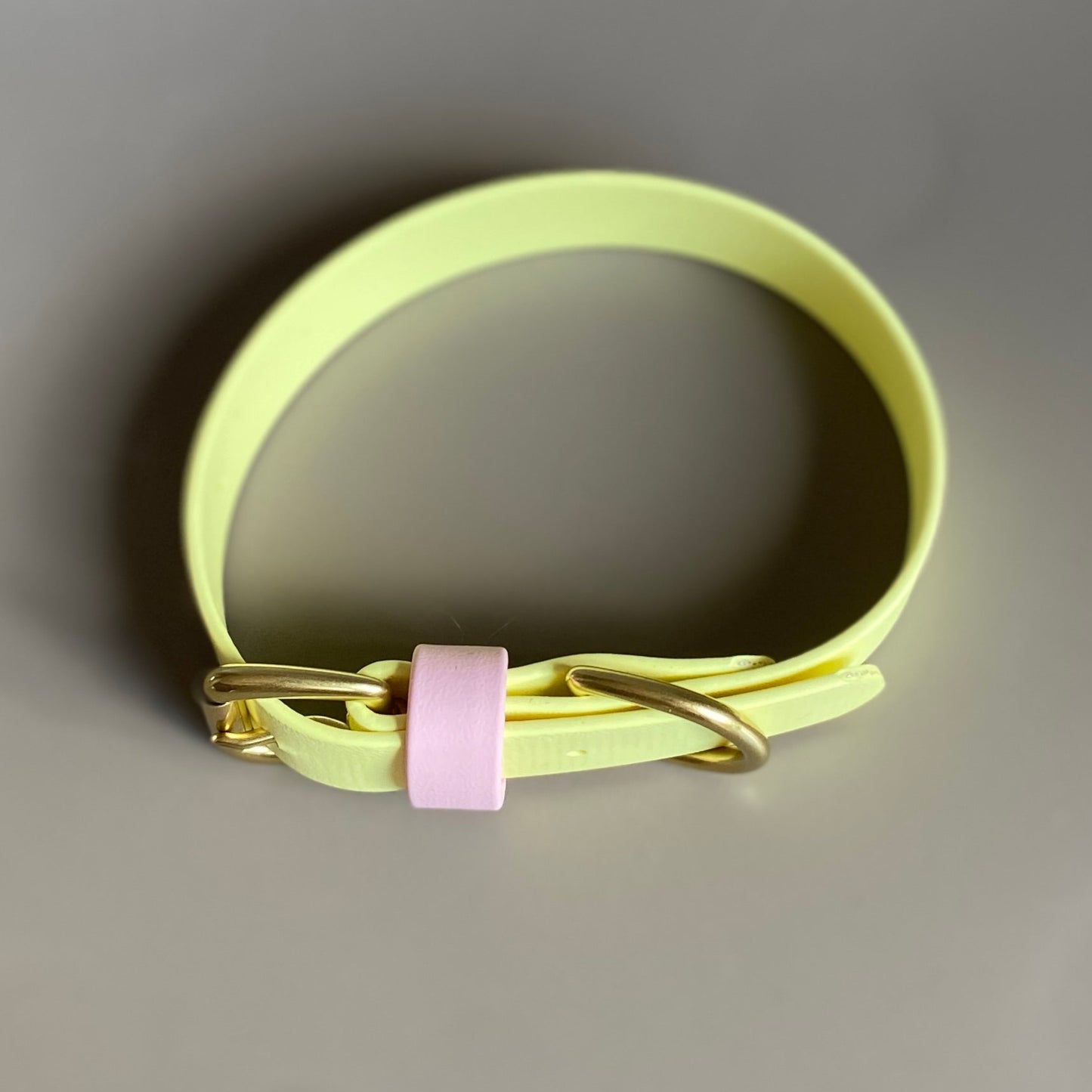 Strawberry Lemonade Colourblock BioThane® Collar