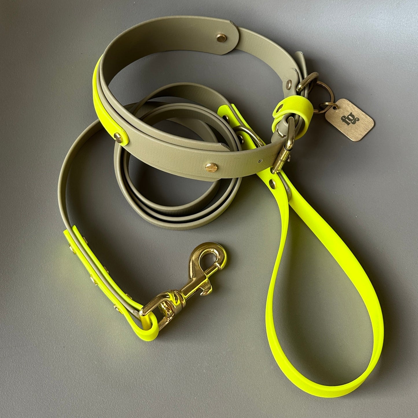 Neon Jungle BioThane® Hound Style Collar
