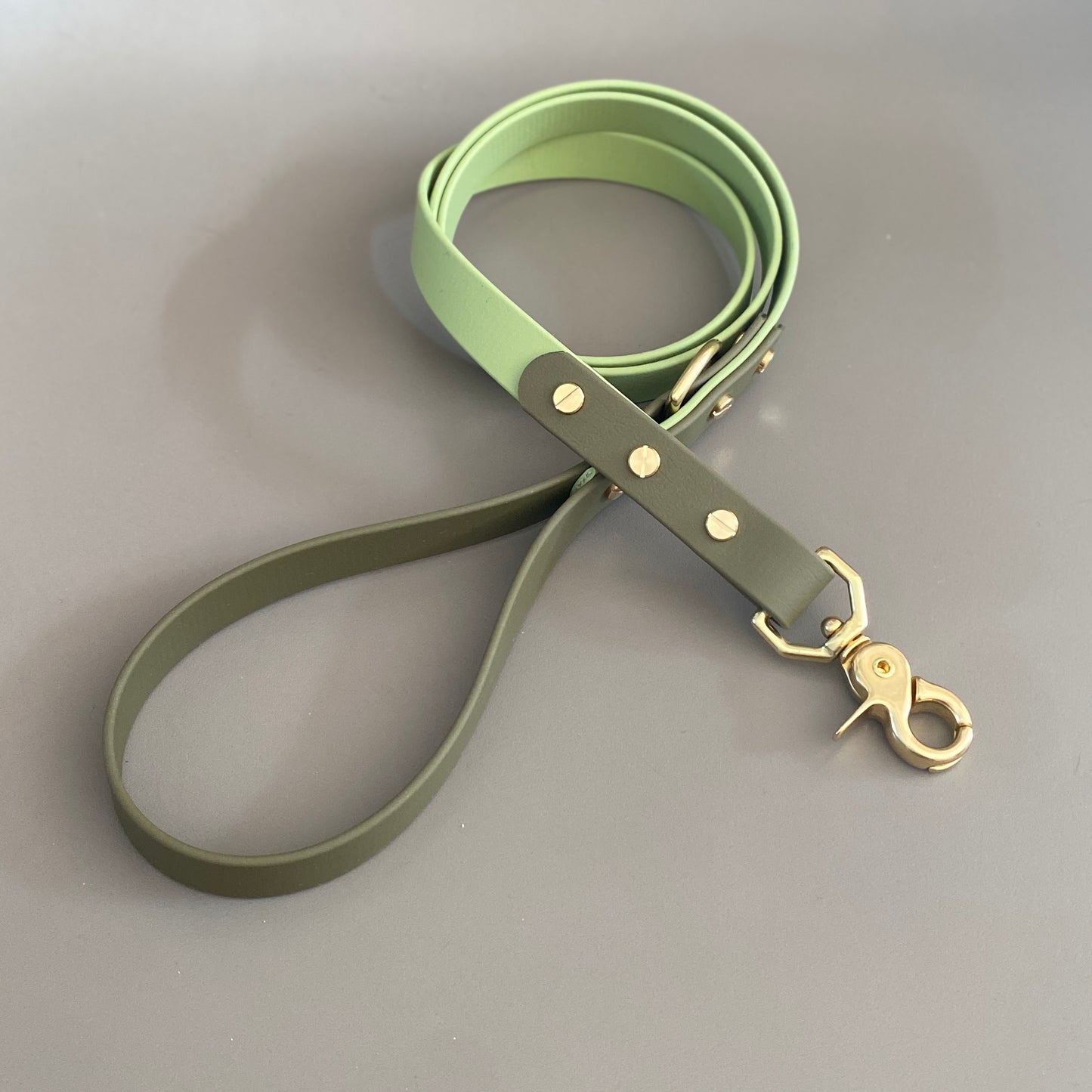 Boots Colourblock BioThane® Lead