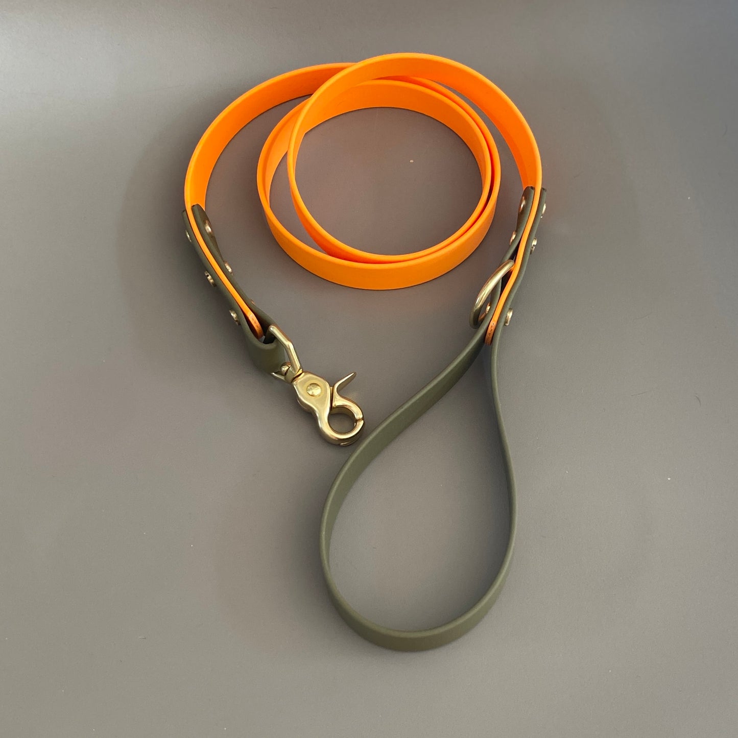 Vinnie Colourblock BioThane® Lead