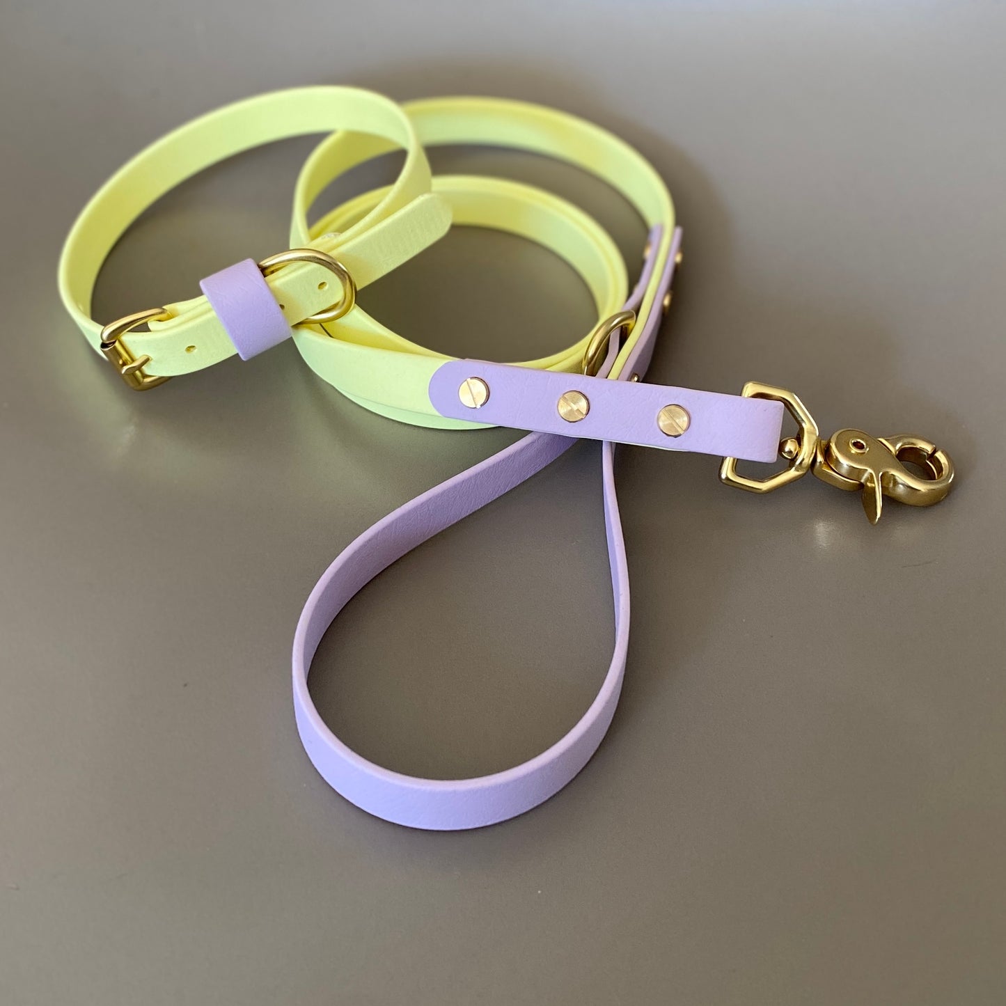 Isla Colourblock BioThane® Collar