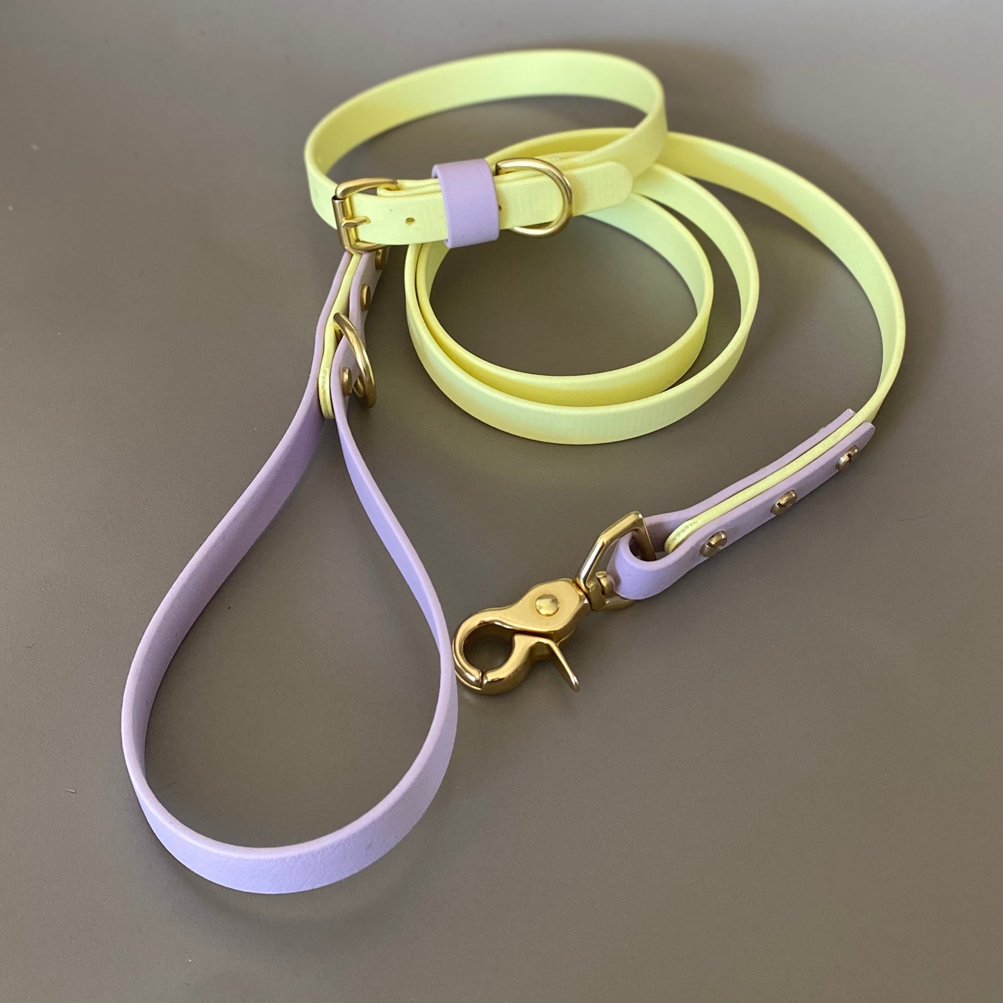 Isla Colourblock BioThane® Collar