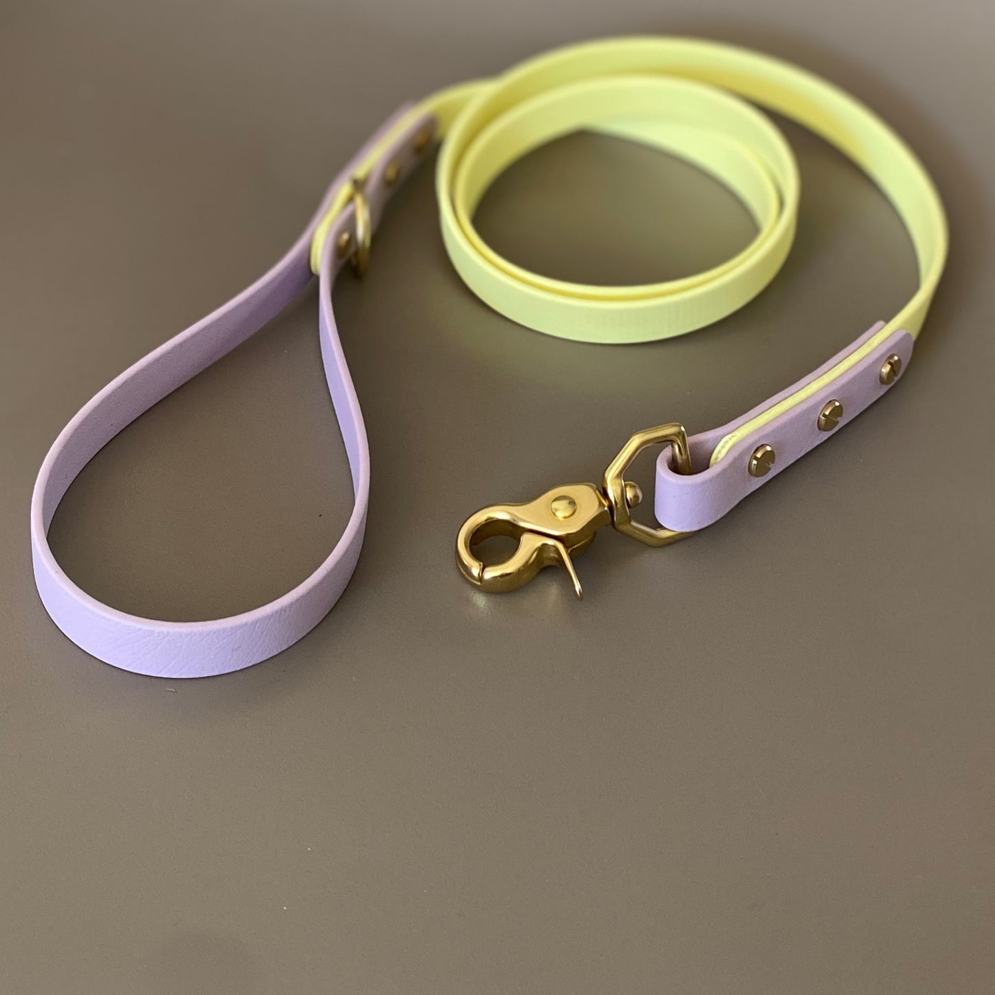 Isla Colourblock BioThane® Lead