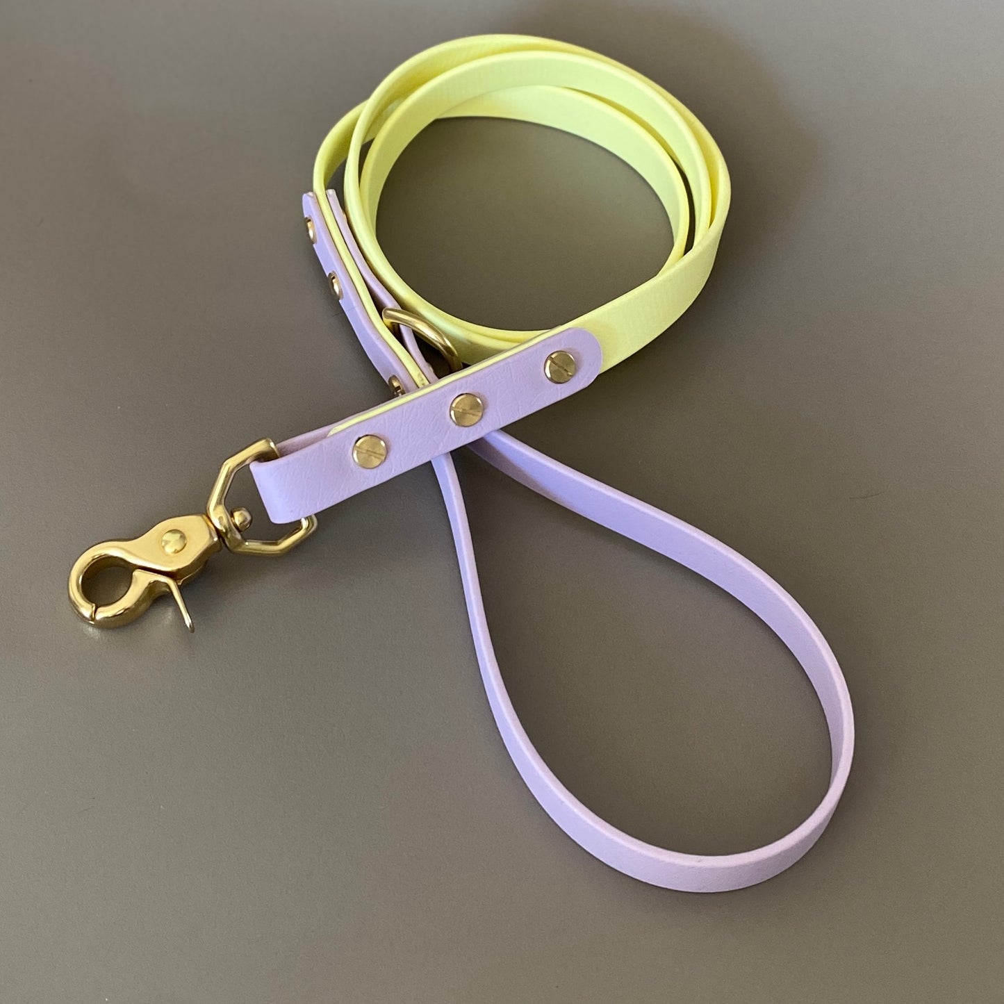 Isla Colourblock BioThane® Lead