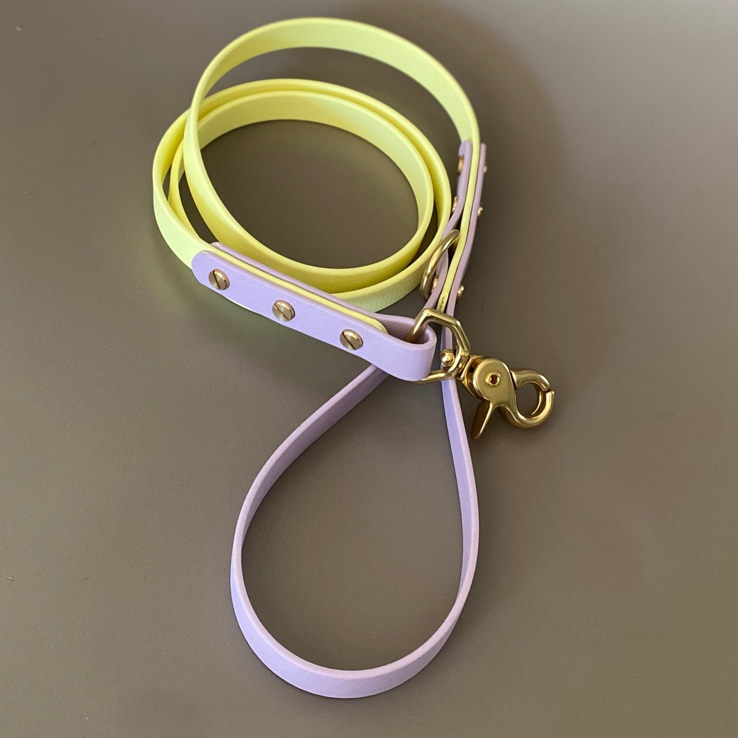 Isla Colourblock BioThane® Lead