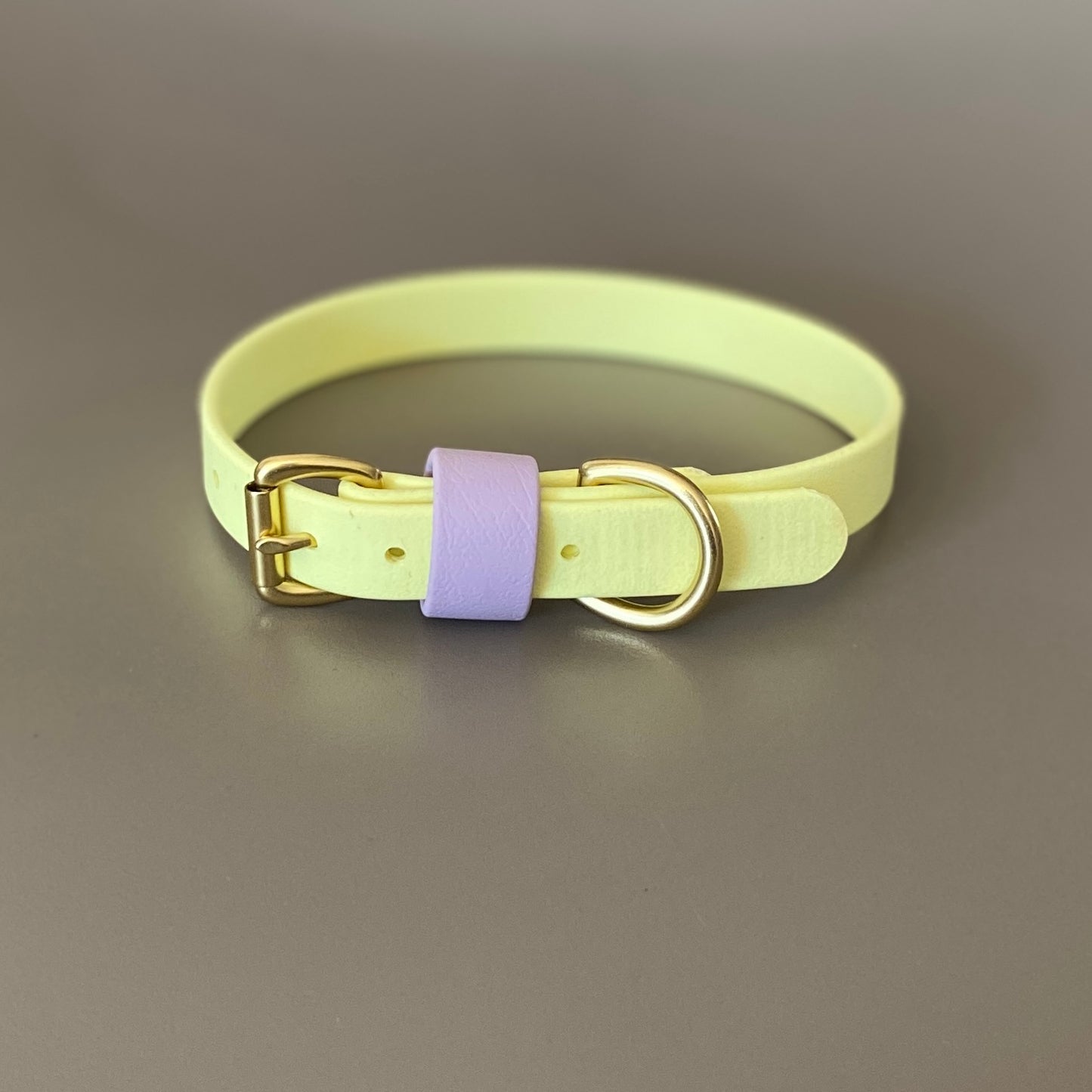 Isla Colourblock BioThane® Collar