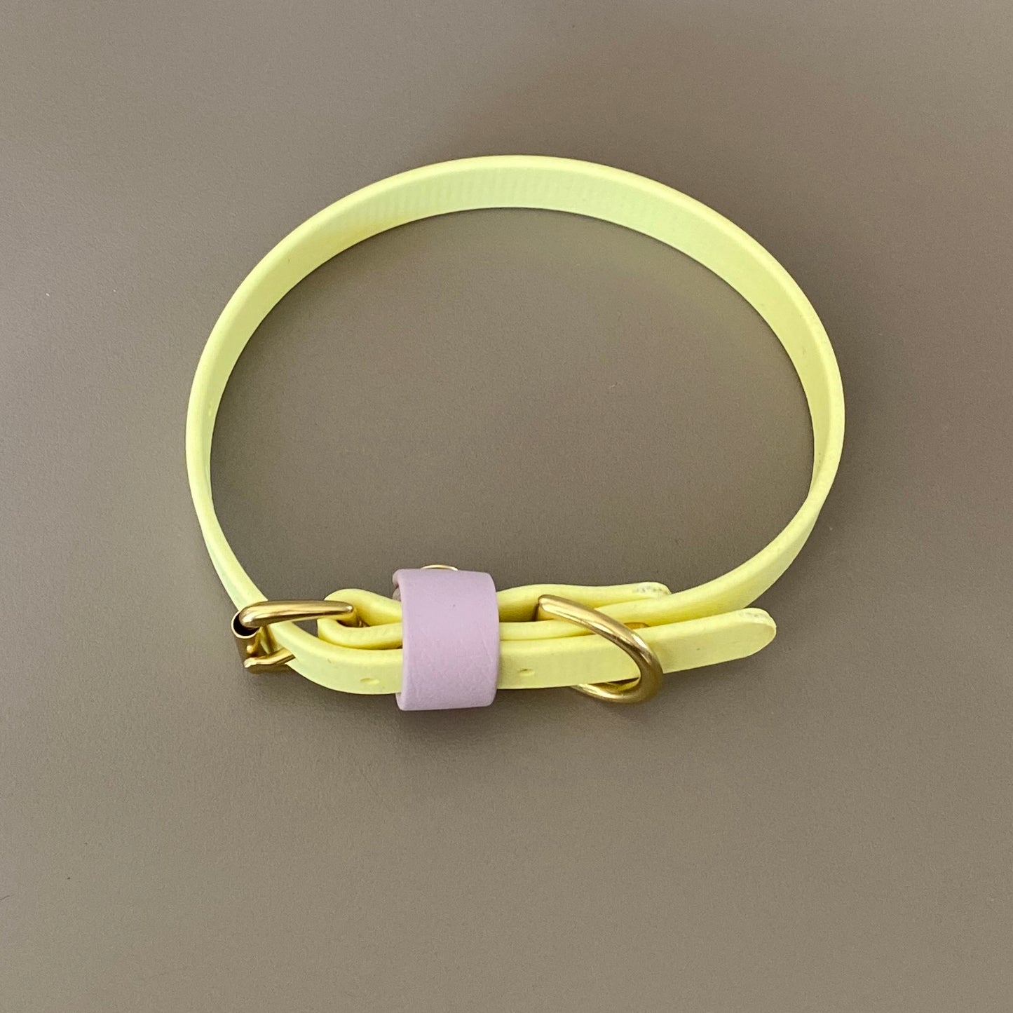 Isla Colourblock BioThane® Collar