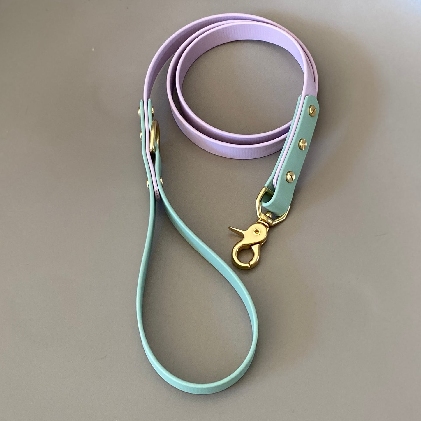 Chilli Colourblock BioThane® Lead