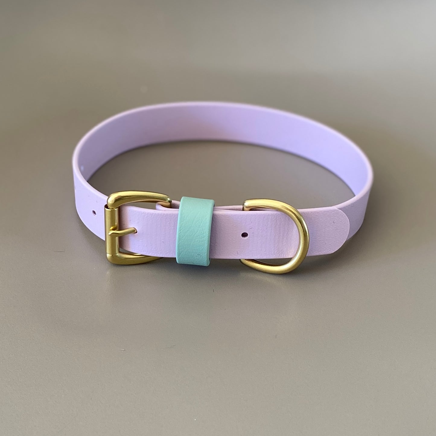 Chilli Colourblock BioThane® Collar