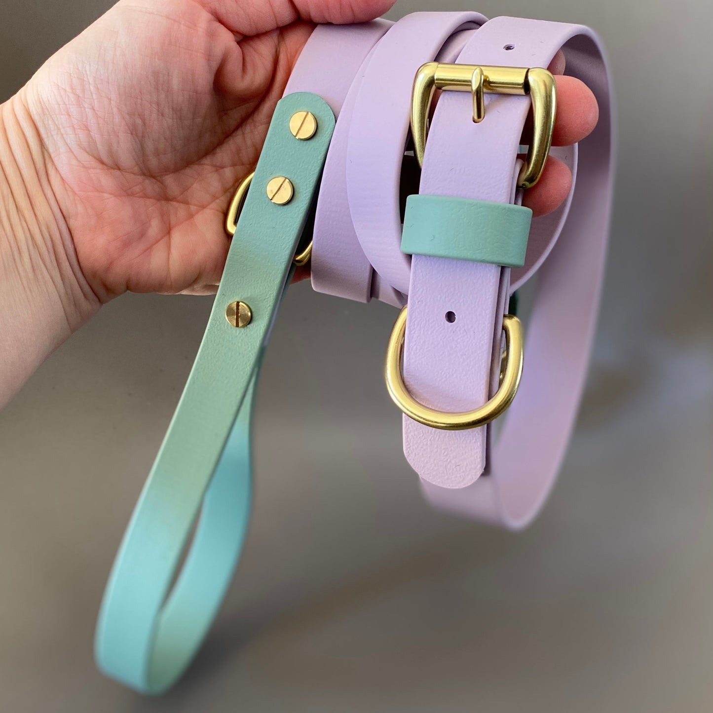 Chilli Colourblock BioThane® Collar