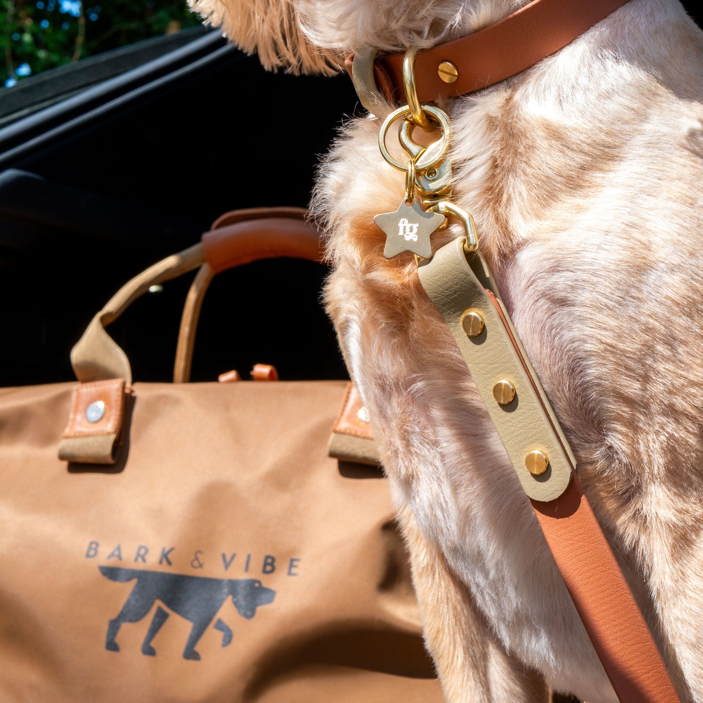 Bark & Vibe X Franks Goods BioThane® Colourblock Lead