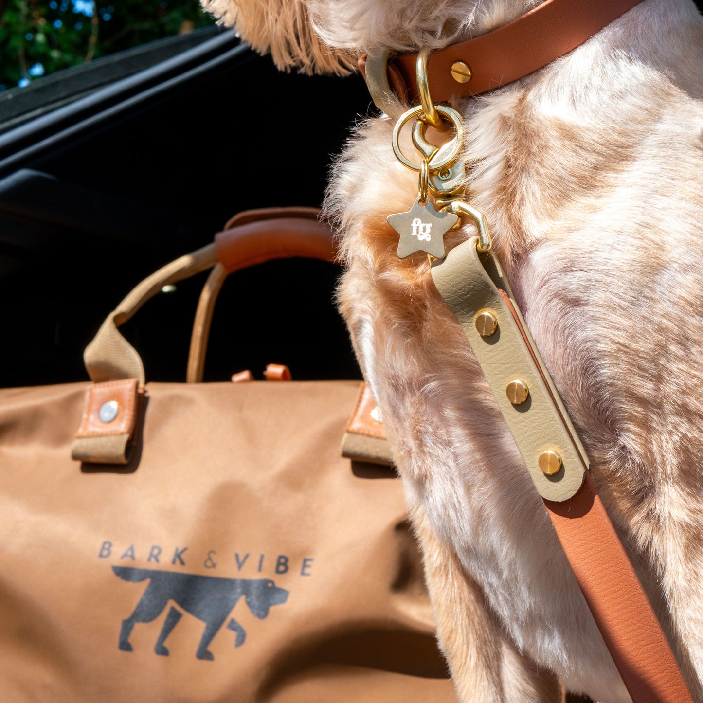 Bark & Vibe X Franks Goods BioThane® Colourband Collar