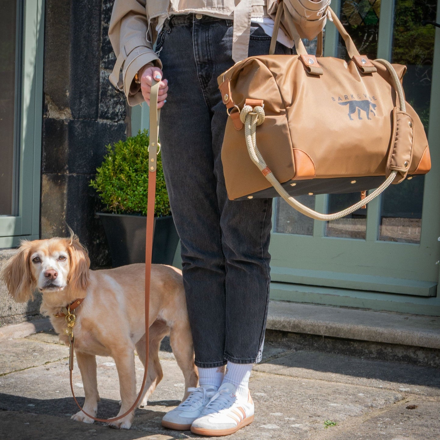 Bark & Vibe X Franks Goods BioThane® Colourband Collar