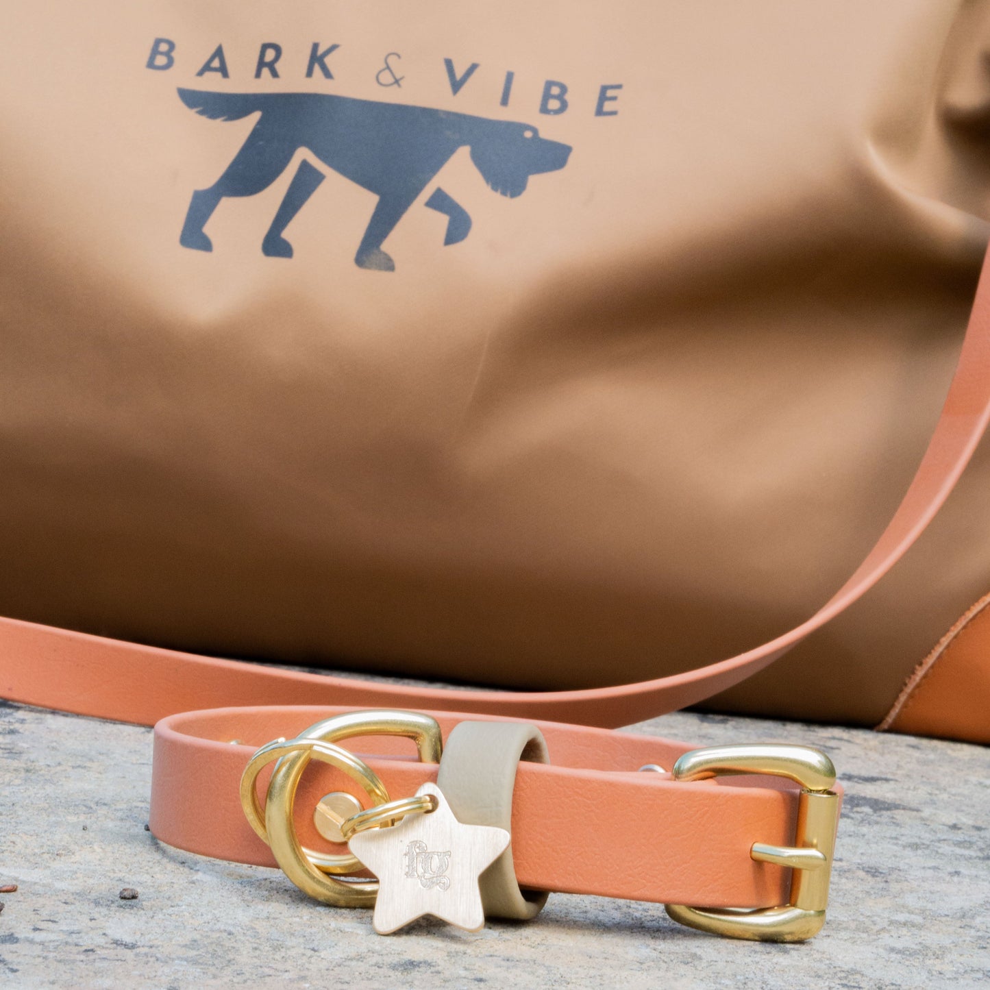 Bark & Vibe X Franks Goods BioThane® Colourband Collar