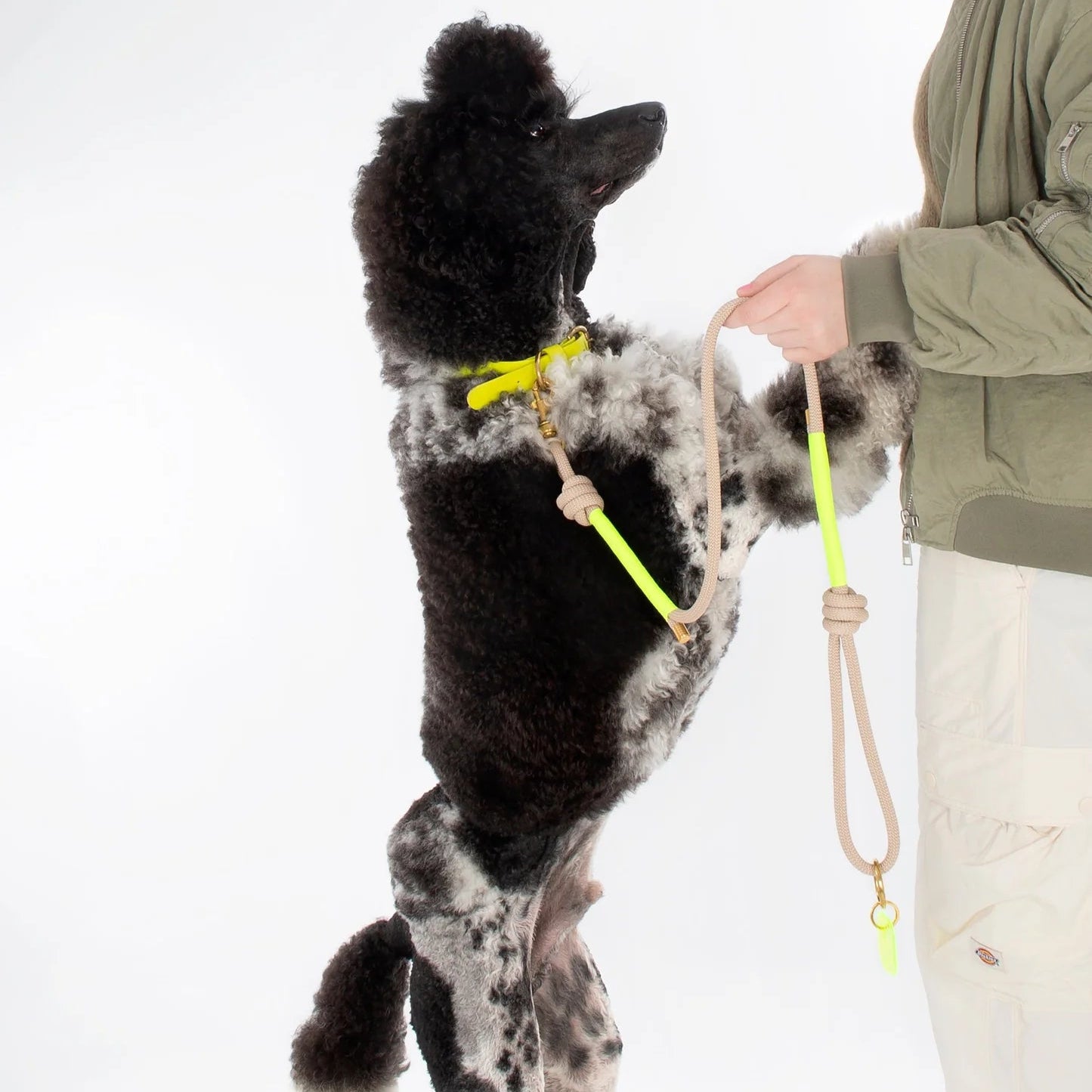 Rope Parti Dog Wear Lead