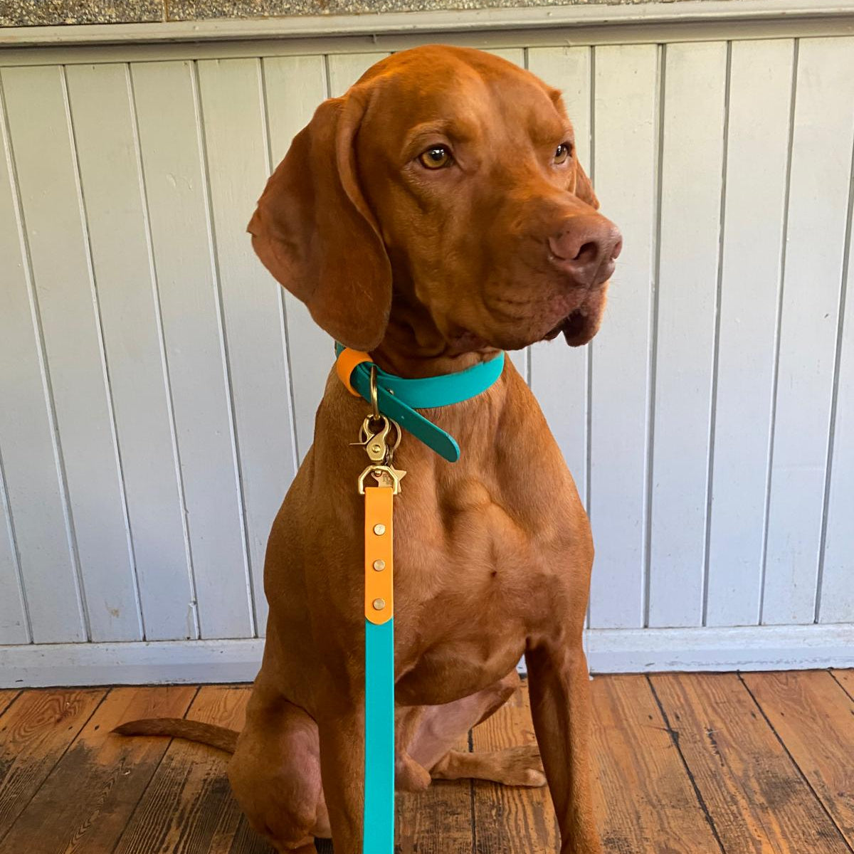 Babble Turquoise Colourblock BioThane® Collar