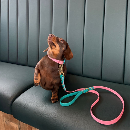 Babble Pink Colourblock BioThane® Lead