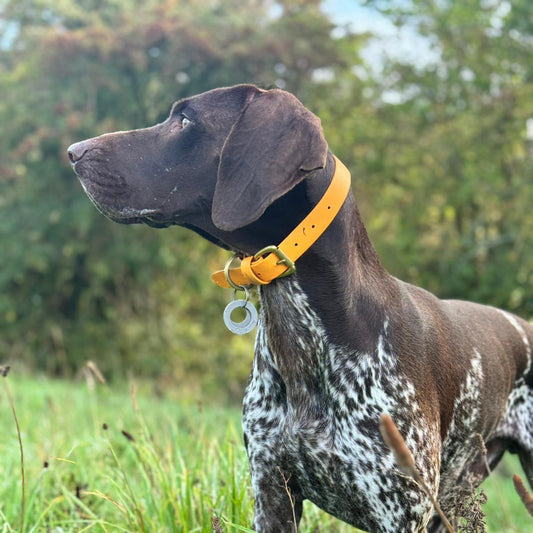 Orange BioThane® Collar