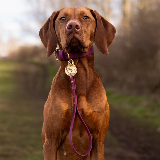 BioThane® Grab Handle Lead