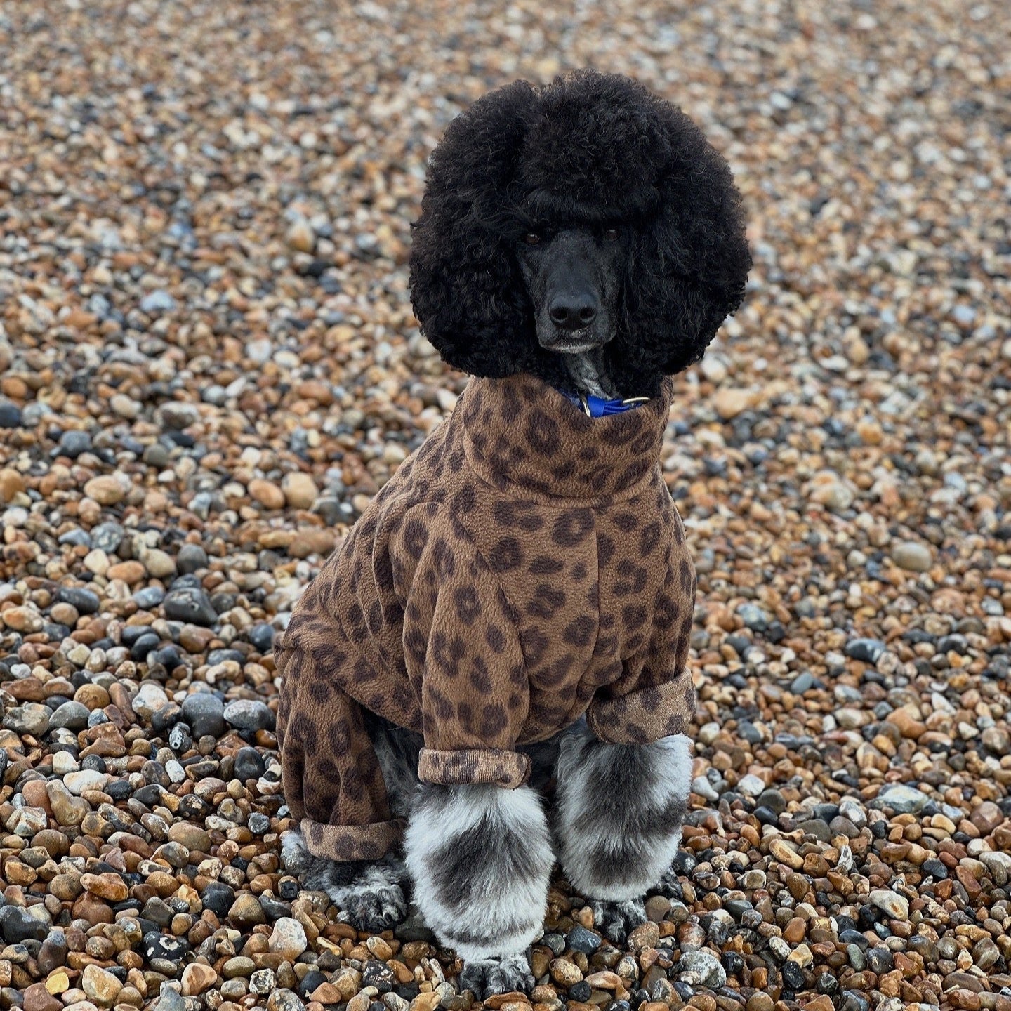 Leopard Print Fleece Dog Onesie