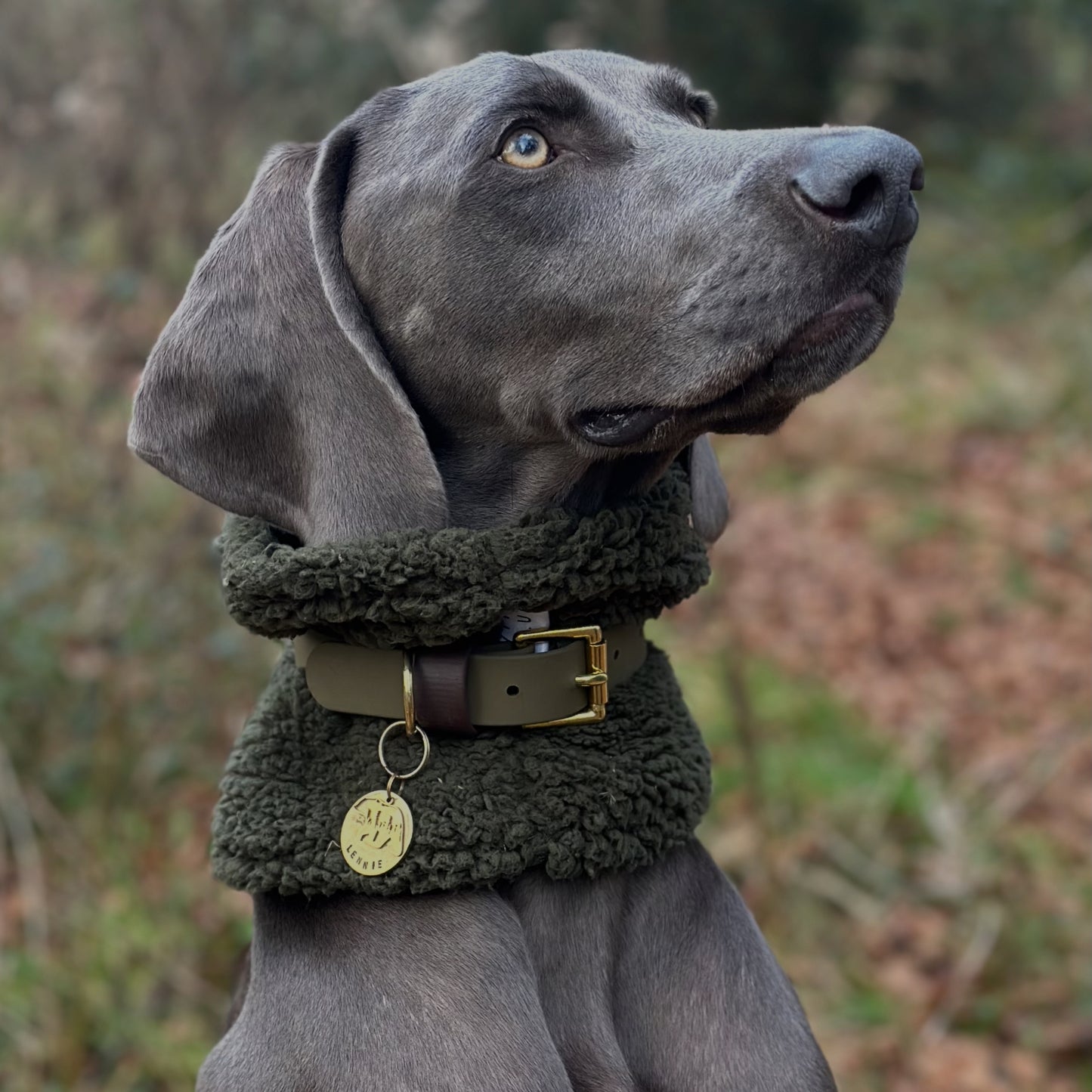 Otto Colourblock BioThane® Collar