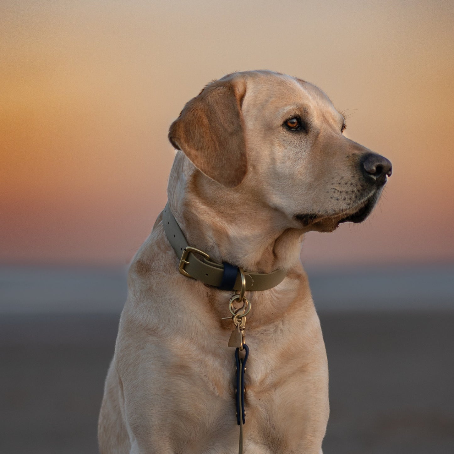 Deefa Colourblock BioThane® Collar