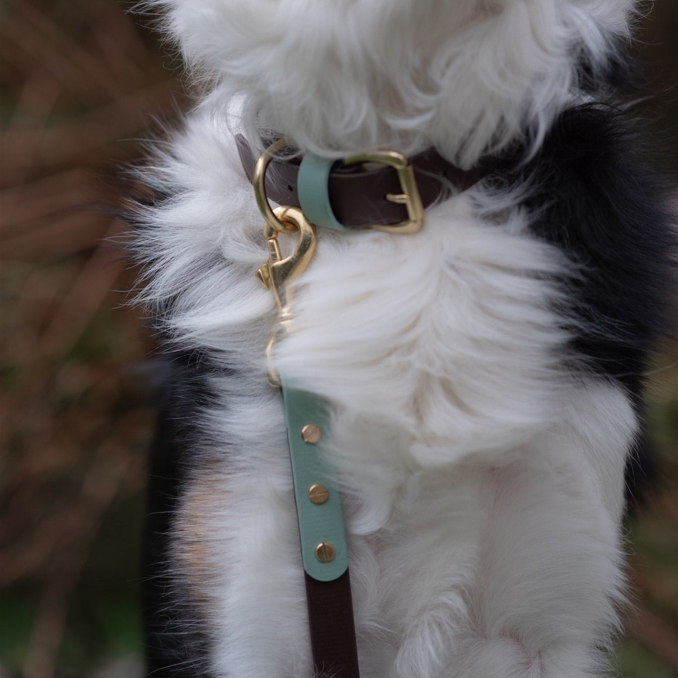 Ozzy Colourblock BioThane® Collar