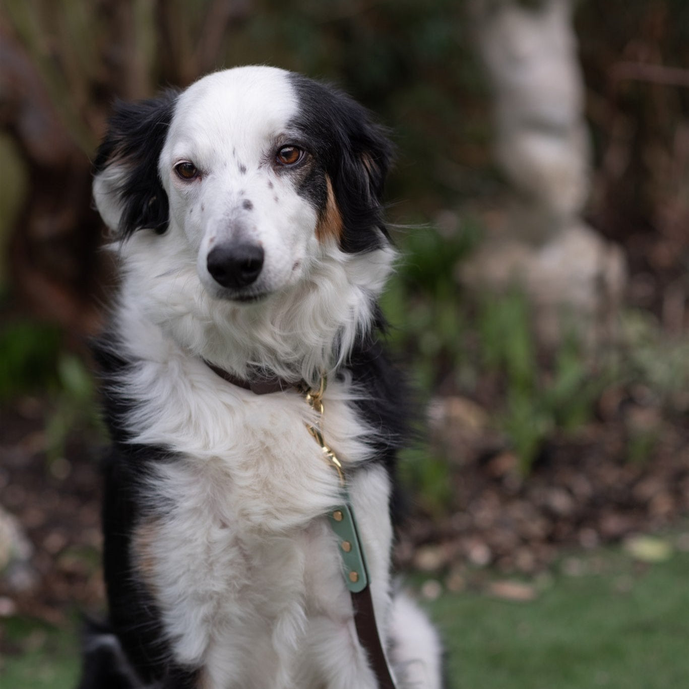 Ozzy Colourblock BioThane® Collar