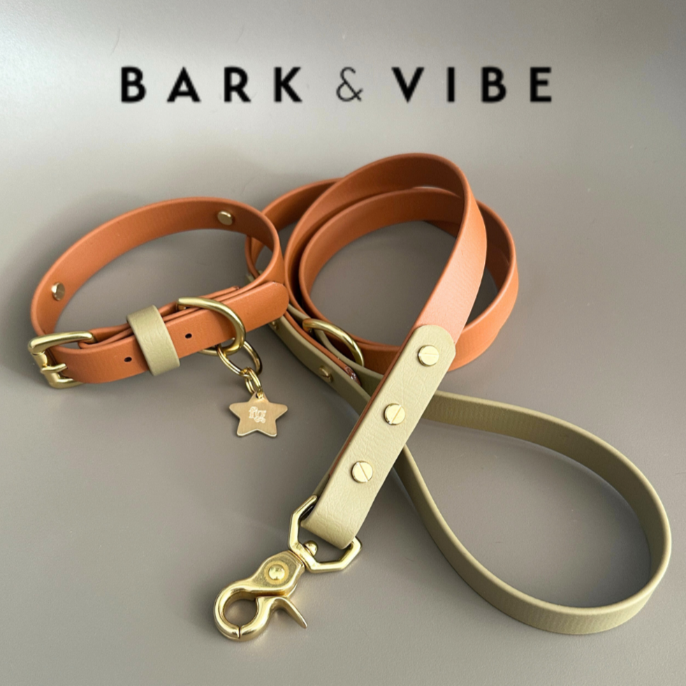 Bark & Vibe X Franks Goods BioThane® Colourblock Lead