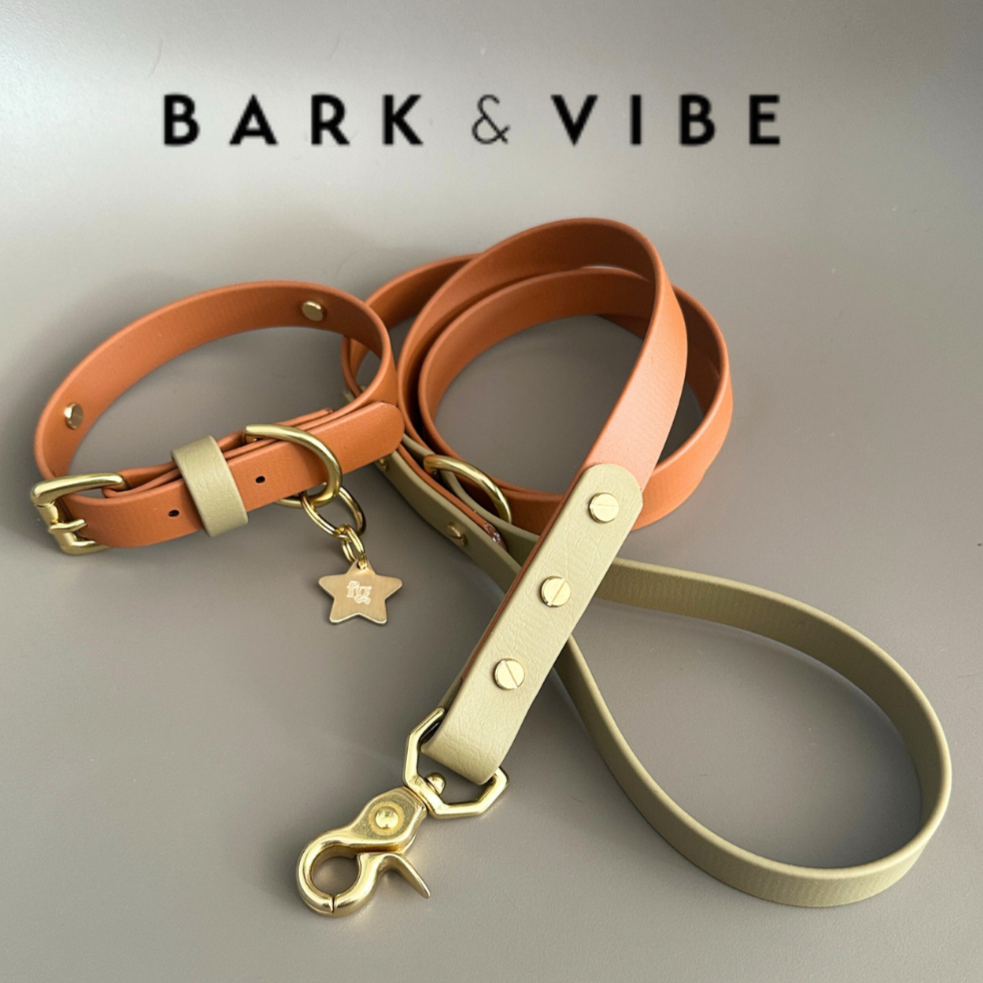 Bark & Vibe X Franks Goods BioThane® Colourband Collar