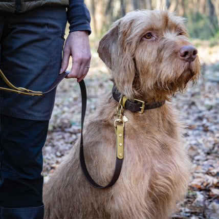 Vini Colourblock BioThane® Collar