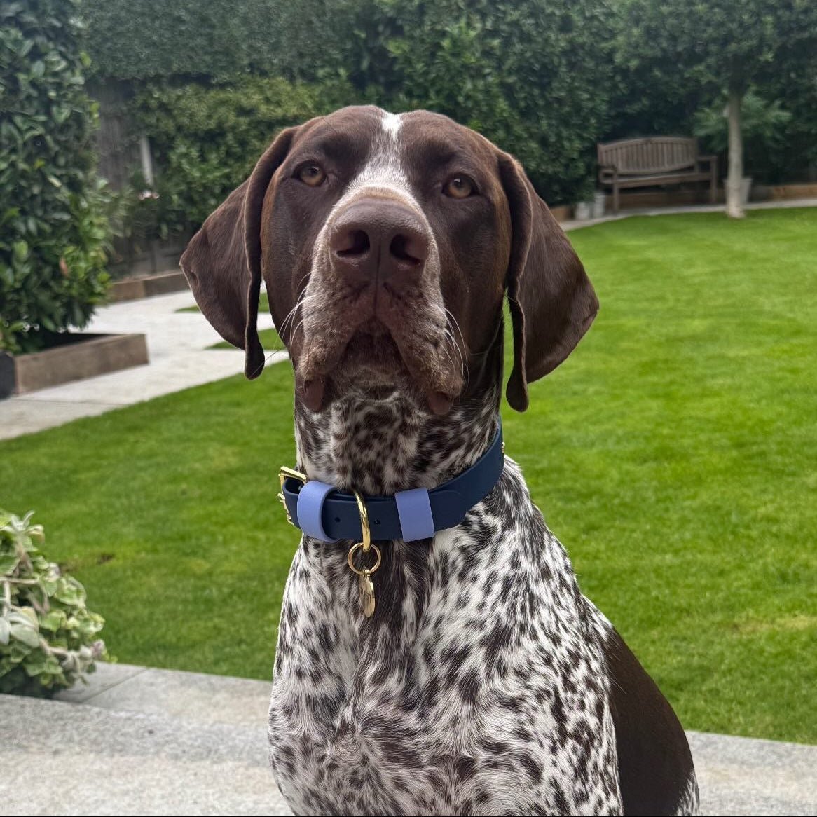 The Blues BioThane® Hound Style Collar