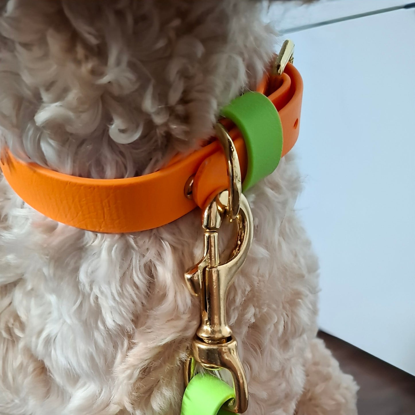 Bear Colourblock BioThane® Collar